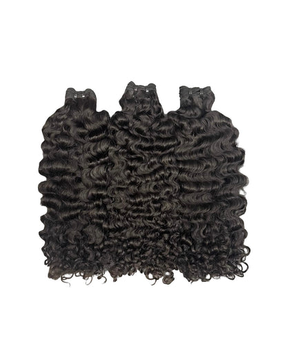 Burmese Curly