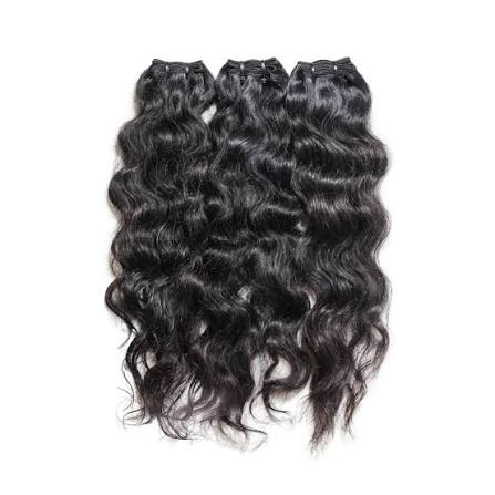 Indian Curly